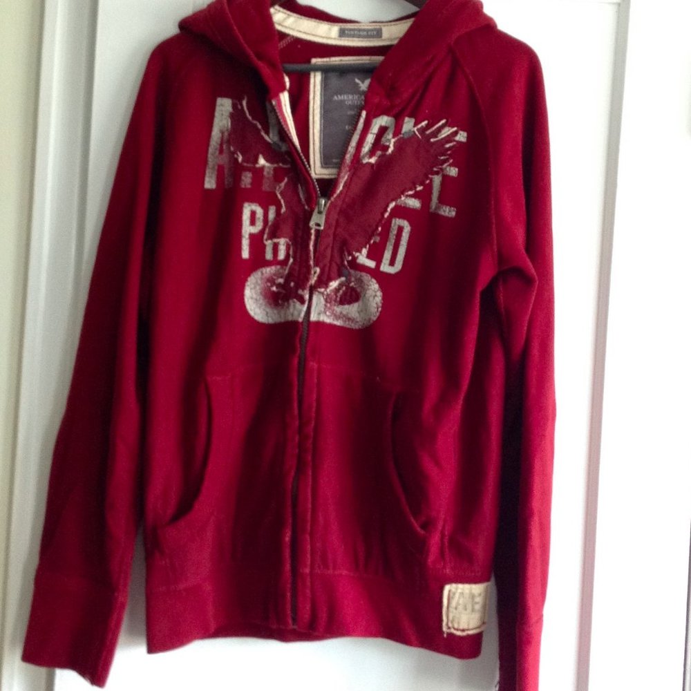 American Eagle Vintage Fit Hooded Sweatshirt - Picture 4 of 9